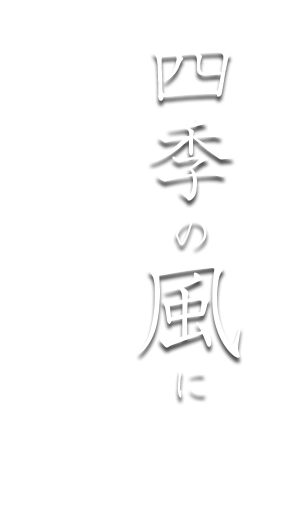 真心の一膳に和みのひとときを四季の風に味を託して…